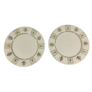 Pfaltzgraff Naturewood Pair of 11 inch Dinner Plates